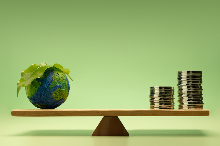 BlackCap Advisory_Green Finance in Singapore Budgeting for a Sustainable Future