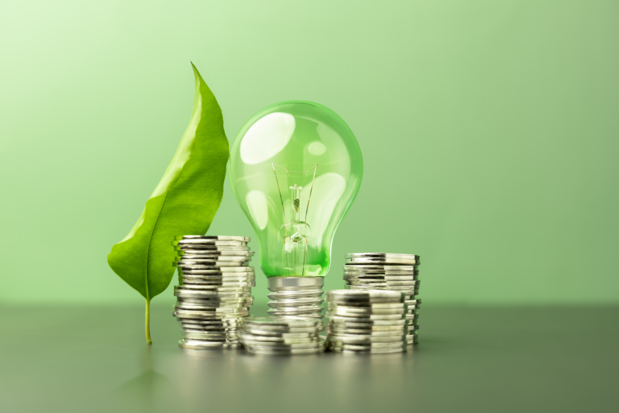 BlackCap Advisory_Singapore’s Push for Green Finance What Happens If You’re Not Ready